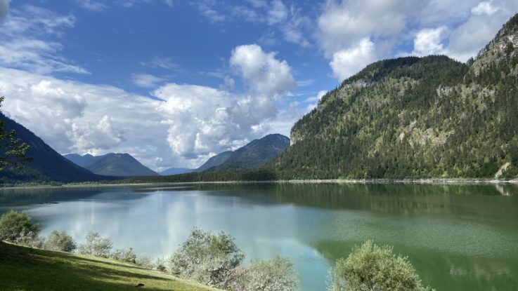 Achtsamkeitswanderung - Wandern mit Waldbaden kombinieren